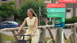 Foto Niet De Weg Kwijt Website